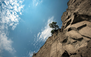 Lone tree rocky cliff blue - a lone tree free wallpaper