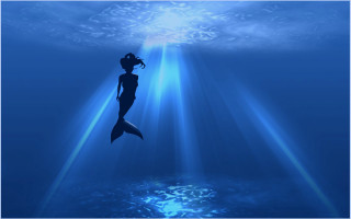 Swimming ocean light beam fish - daphne mcclure free wallpaper for desktop