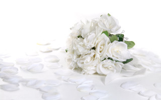 Bouquet white flowers background petals - a ribbon free wallpaper