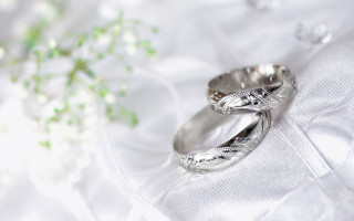 Wedding rings white cloth flowers - brian and wendy froud free wallpaper