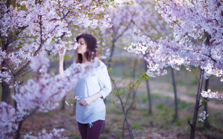 Woman blooming tree pink sweater - byeon sangbyeok free wallpaper