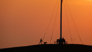 Hilltop sunset romanticism dog telephoto - a leash free wallpaper