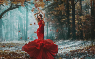 Red dress forest autumn leaves 2 - a tree in the background free wallpaper for desktop