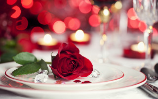 Romantic rose stilllife bokeh wine - a single rose free wallpaper