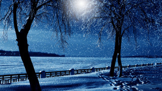 Snowy night full moon aurora - a full moon and trees free wallpaper