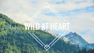 Mountain wild heart forest triangle - ada hill walker free wallpaper