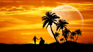 Desert sunset romantic couple palm - dreamlike free wallpaper