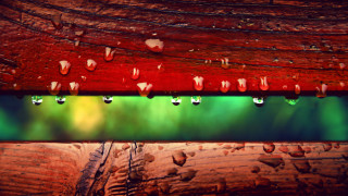 Wooden plank rain drops autumn - a wooden plank free wallpaper