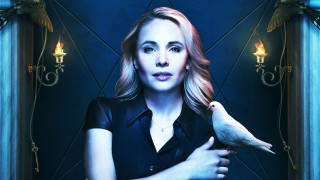 Woman bird hands blue background - constance gordoncumming free wallpaper