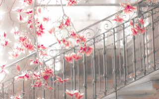 Staircase flower railings pink cherry - a staircase free wallpaper