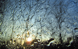 Rainy sunshine impressionism macro coral - the window free wallpaper