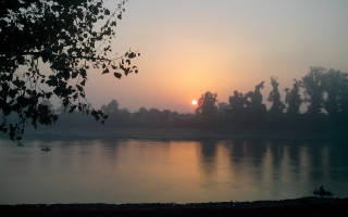 Sunset lake trees ducks forest - the edge free wallpaper