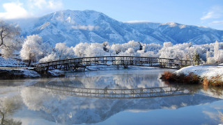 Bridge river mountain snow trees 4 - the ground and trees free wallpaper