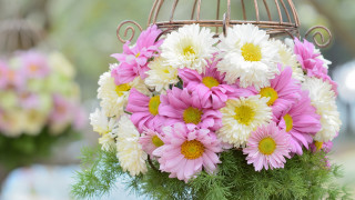 Flowers vase birdcage stilllife folkart - free flowers wallpaper