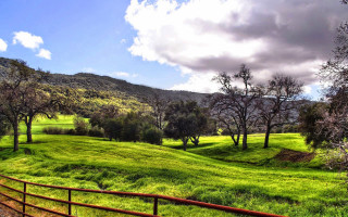 Lush green hillside trees fence - hdr free wallpaper for desktop