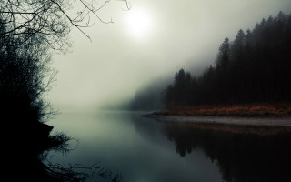 Foggy lake trees boat moon - a foggy day free wallpaper