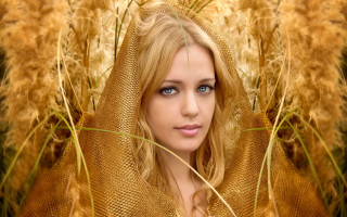 Woman blueeyes field wheat portrait - a hood free wallpaper