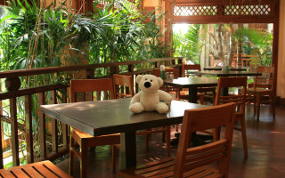 Teddy bear restaurant wooden chairs - interior free wallpaper