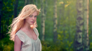 Enchanting blonde forest impressionist nature - the background and sunlight free wallpaper