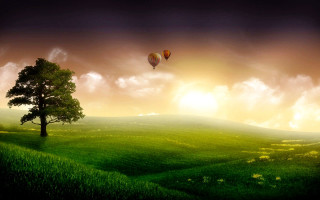 Tree hot air balloon sunset 4 - hot free wallpaper for desktop
