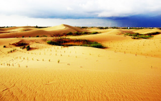 Desert trees cloudy sky mountain - a desert free wallpaper
