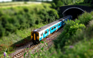 Train tunnel field bridge flowers - a train traveling free wallpaper