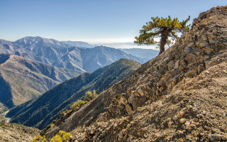 Lone pine mountain peak sky - widescreen free wallpaper for desktop