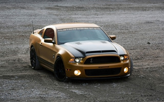 Gold mustang hood dirt light - the dirt free wallpaper