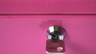 Pink toilet metal handle button - the front free wallpaper