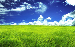 Green grass blue sky bench - the background and a bench in the foreground free wallpaper