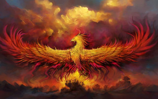 Bird fire wings sky embers - fantasy artwork free wallpaper