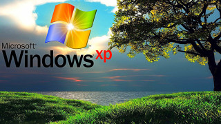 Tree windowsxp logo grass lake - edmond xavier kapp free wallpaper