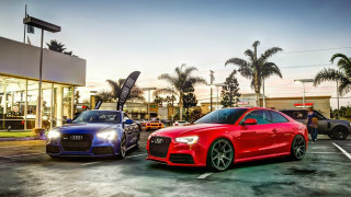 Two cars parking lot palm - two car free wallpaper