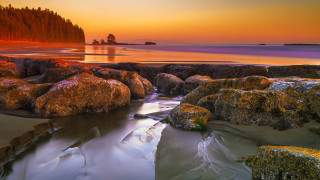 Beach rocks water sunset tree 2 - rock and water free wallpaper for desktop