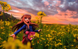 Doll field flower sunset pink - sky free wallpaper