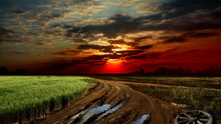 Dirt road sunset grass puddle - a puddle of water free wallpaper