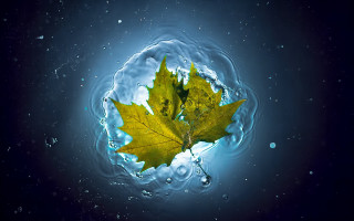 Leaf floating blue water bubbles - a blue circle free wallpaper