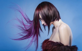 Woman purple streak long hair - her back free wallpaper for desktop