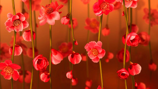 Red flowers brown wall art - a red background behind them free wallpaper