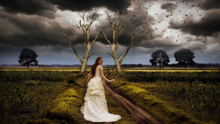 Woman white dress dirt road - a dirt road in a field free wallpaper