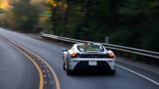 Car road trees sign motion - the background and a sign free wallpaper