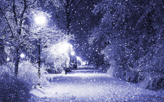 Snowy path street light trees 3 - both side of it free wallpaper