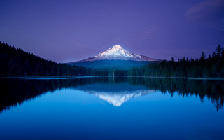 Mountain lake trees night purple - a lake in front free wallpaper