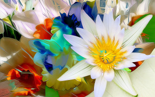 Flower colorful shapes centrally flowers - anton graff free wallpaper for desktop