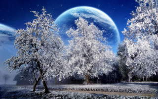 Snowy trees planet night sky - a snowy landscape free wallpaper