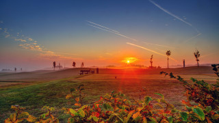 Sunset grassy field bench trees - a bench in the foreground free wallpaper