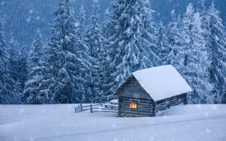 Snowy cabin forest night milky - the door free wallpaper
