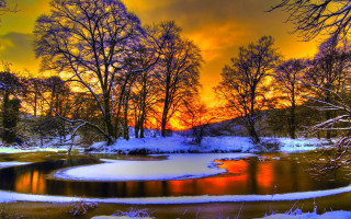Pond snow trees sunset red - a red sky in the background free wallpaper