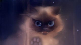 Creepy blue eyed cat staring - art station free wallpaper