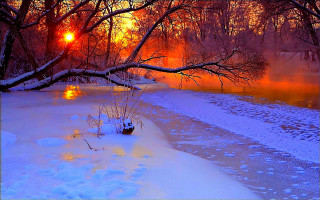 River tree branch sunset snow - a river free wallpaper